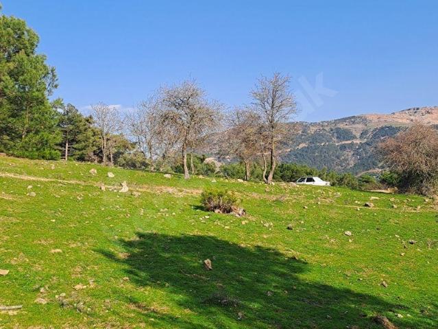 Tarlabaşı, Havran içerisinde satılık Arsa