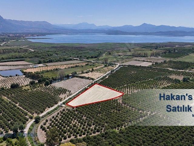 Köyceğiz, Muğla içerisinde satılık mülk