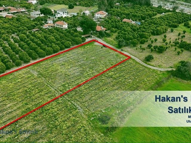 Köyceğiz, Muğla içerisinde satılık Arsa