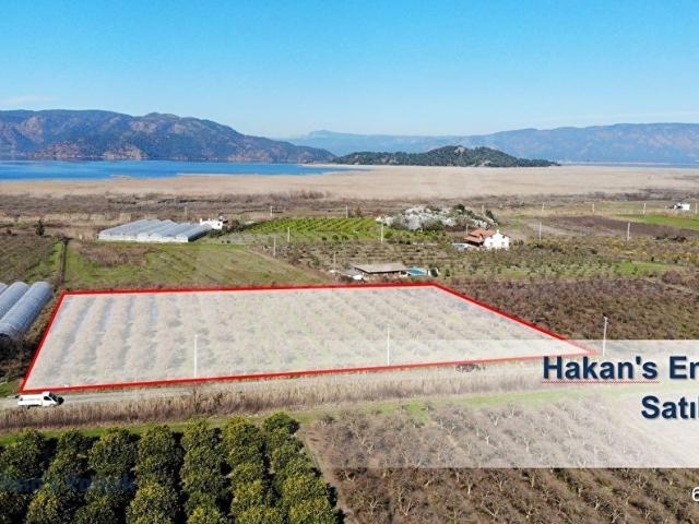 Ortaca, Muğla içerisinde satılık Arsa