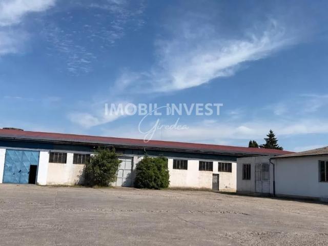 Apartament închirieri în Alba