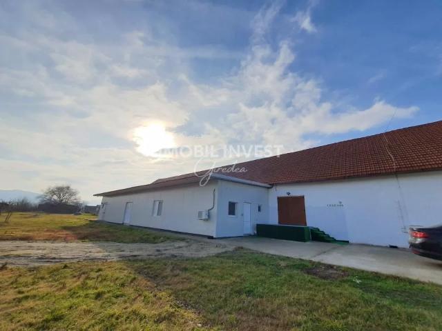 Apartament închirieri în Alba