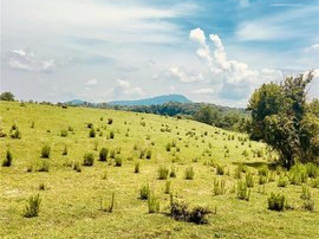 Land for sale in Marion, North Carolina
