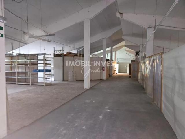 Apartament închirieri în Alba