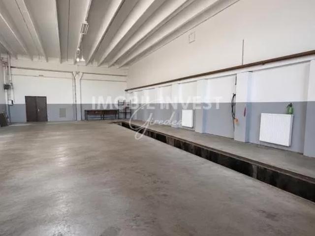 Apartament închirieri în Alba