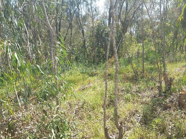 Land for sale in Karen, Nairobi