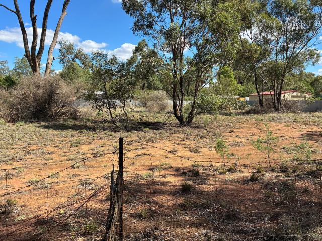 Property for sale in Ganmain, New South Wales
