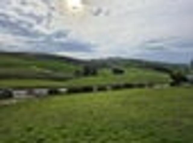 Land for sale in Otakou