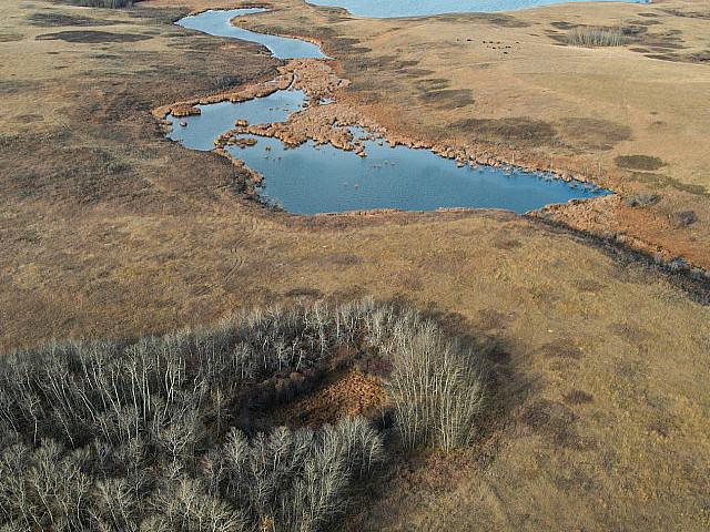 Land for sale in Perdue, Saskatchewan