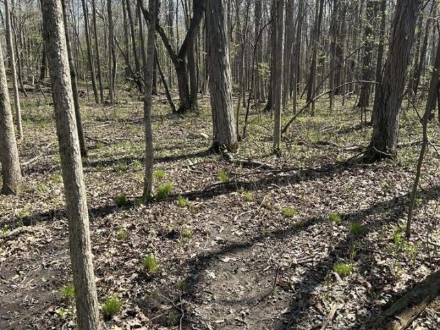 Land for sale in Hillsdale, Michigan