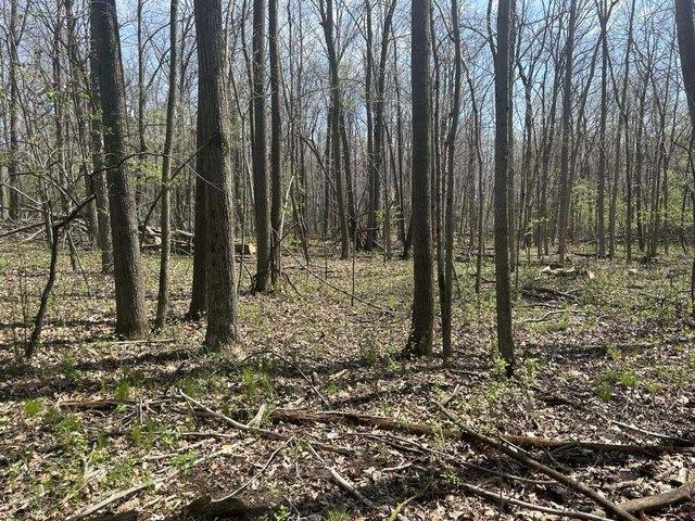 Land for sale in Hillsdale, Michigan