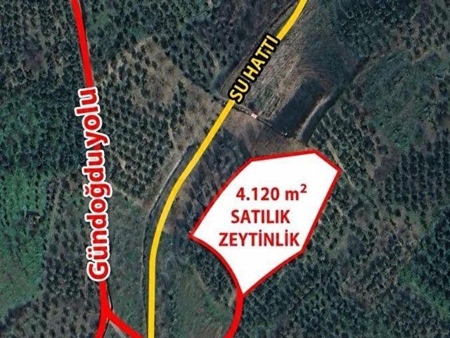 Osmangazi, Bursa içerisinde satılık mülk