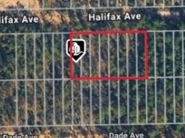 Land for sale in Interlachen, Putnam County
