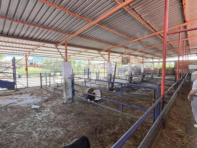 Kemalpaşa, İzmir içerisinde satılık Fabrika