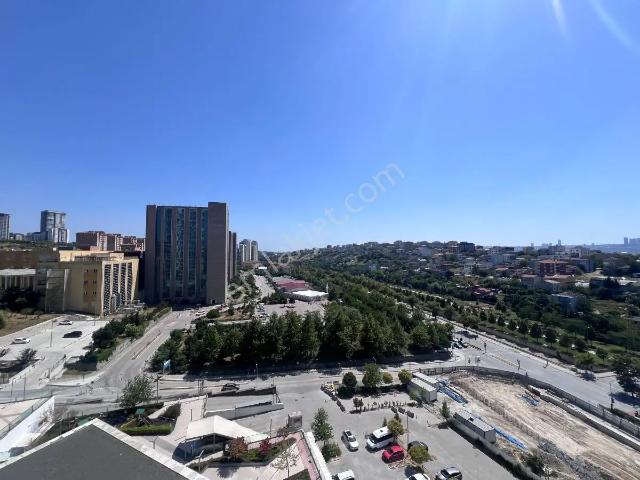Küçükçekmece, İstanbul içerisinde kiralık mülk