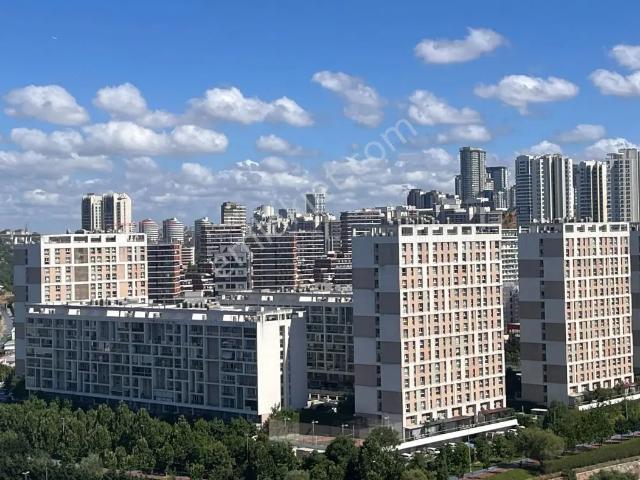 Küçükçekmece, İstanbul içerisinde kiralık mülk
