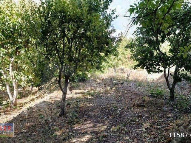 Dedeli, Halkapınar içerisinde satılık Arsa