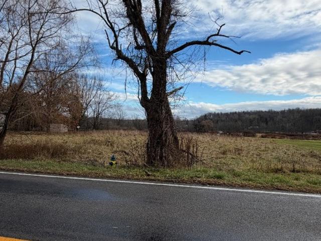 Land for sale in Marion, New York
