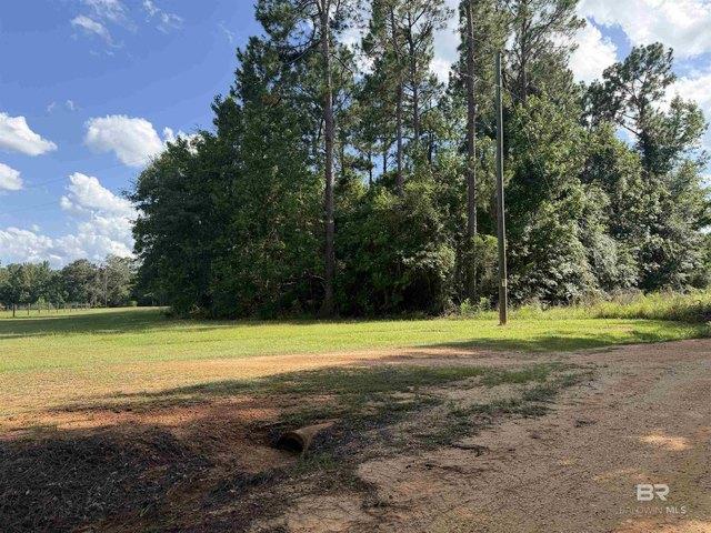 Land for sale in Brewton, Alabama