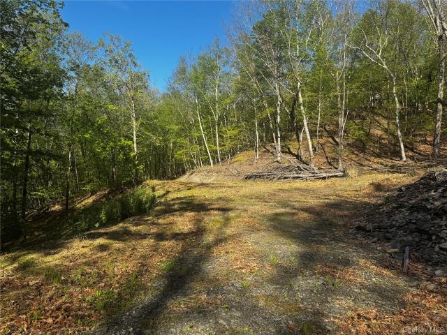 Land for sale in Ancram, New York