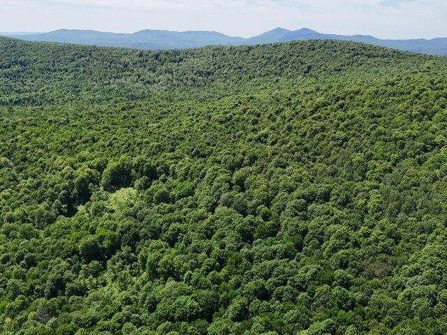Land for sale in Gilman, Vermont