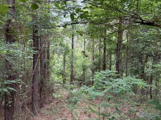 Land for sale in Natchez, Mississippi