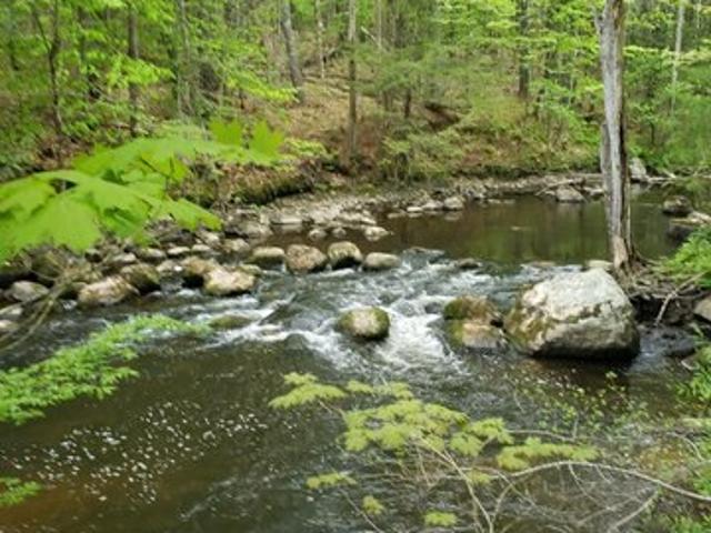 Land for sale in Windham, Maine