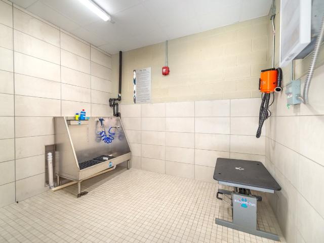 Apartment for rent in Dallas, Texas