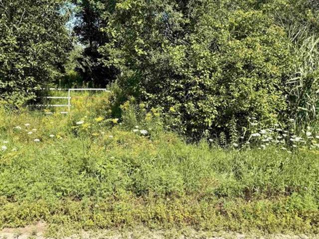 Land for sale in Brasher Falls, New York