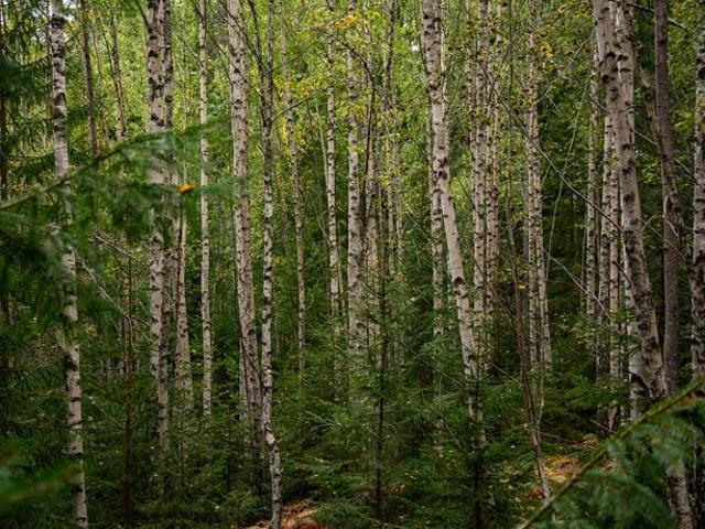 Bostad till salu i Eda, Värmland