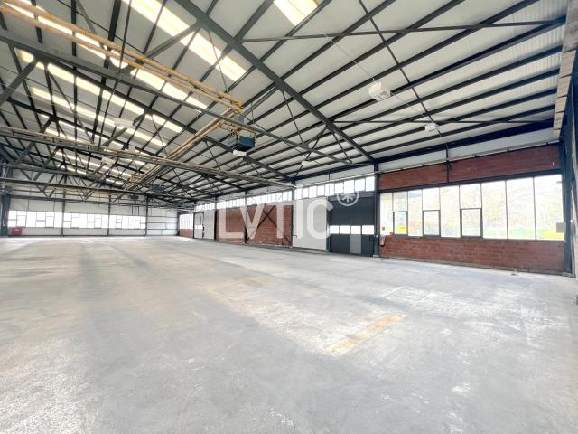 Industrie kaufen in Aigle, Waadt