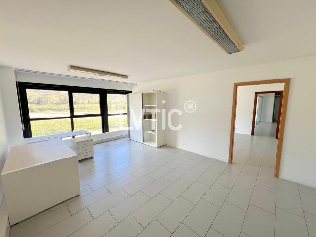 Industrie kaufen in Martigny, Wallis