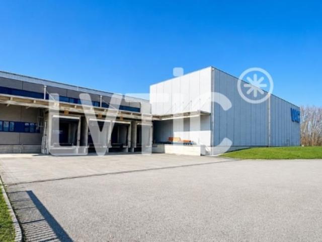 Atelier mieten in Avenches, Waadt
