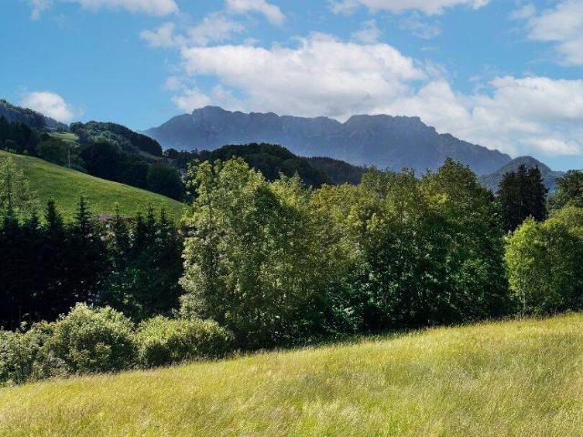 Immobilie kaufen in Bad Dürrnberg, Hallein