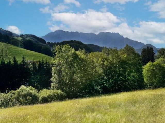 Grundstück kaufen in Bad Dürrnberg, Hallein