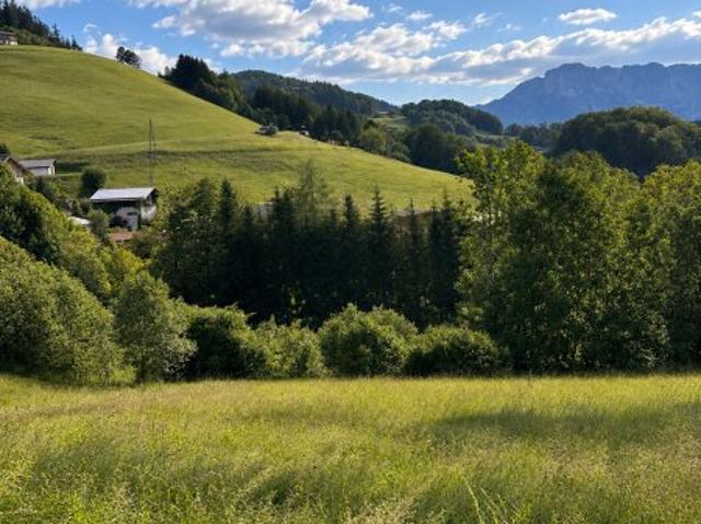 Grundstück kaufen in Bad Dürrnberg, Hallein