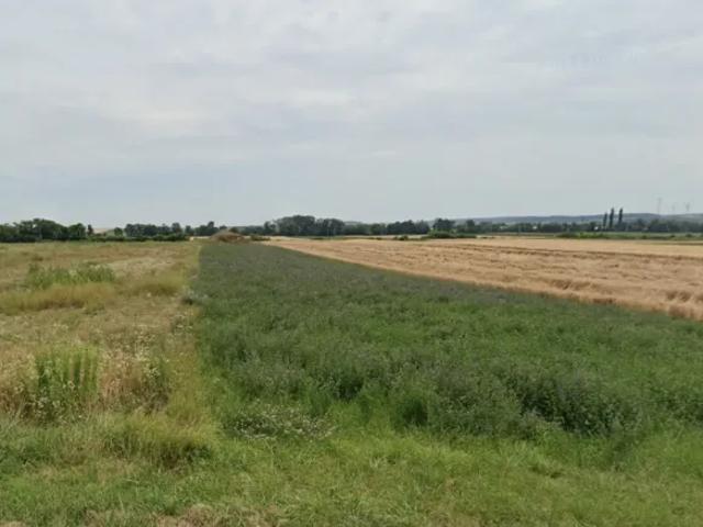 Immobilie kaufen in Antau, Burgenland