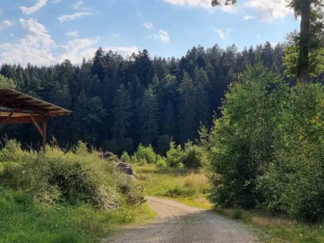 Immobilie kaufen in Litschau, Niederösterreich