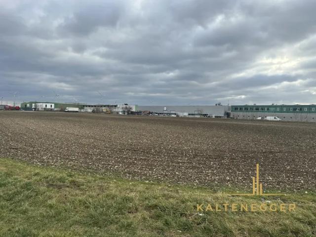 Immobilie kaufen in Parndorf, Burgenland