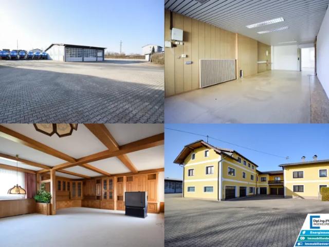 Immobilie mieten