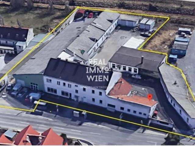 Immobilie kaufen in Schwechat, Niederösterreich