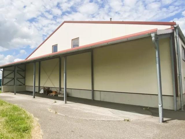 Immobilie mieten in St. Nikola an der Donau, Oberösterreich