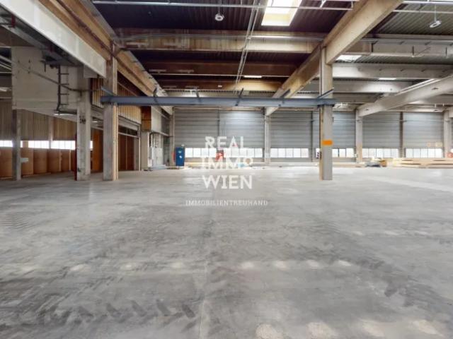 Immobilie mieten in Katastralgemeinde Traiskirchen, Traiskirchen