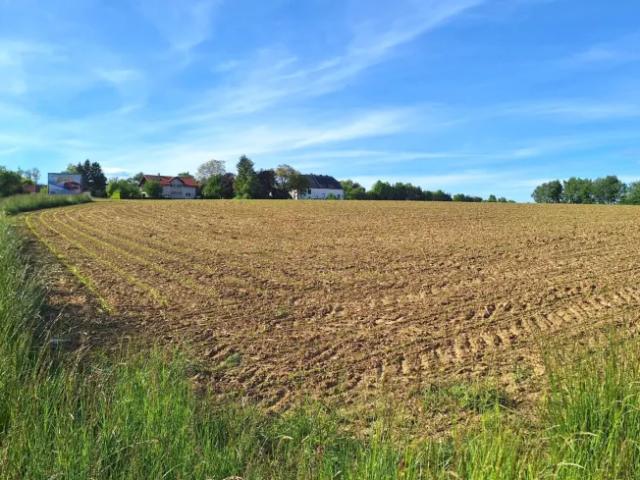 Immobilie kaufen in Wieselburg, Niederösterreich