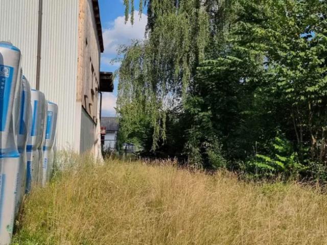 Immobilie kaufen in Litschau, Niederösterreich