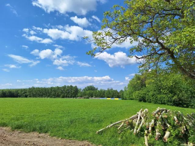 Immobilie kaufen in Zeillern, Niederösterreich