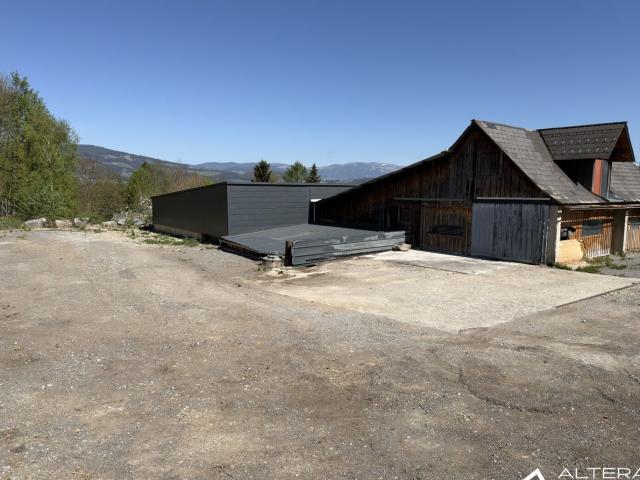 Gewerbe mieten in Edelschrott, Steiermark