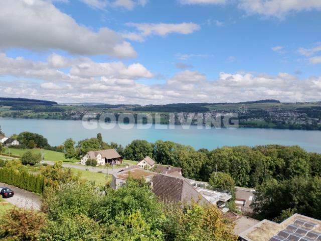 Einfamilienhaus kaufen in Birrwil, Aargau