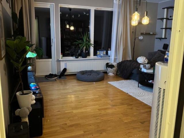Lägenhet hyra i Amnehärads distrikt, Gullspång