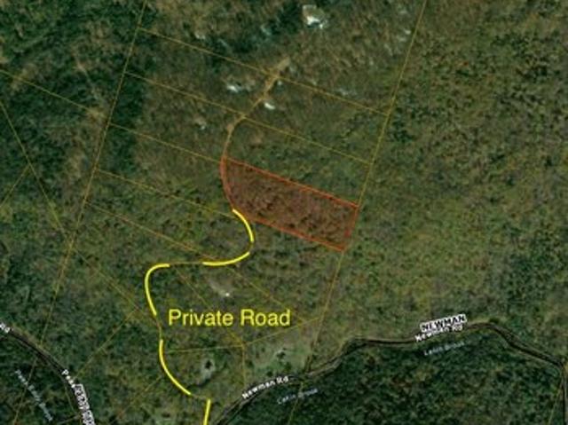 Land for sale in East Branch, New York
